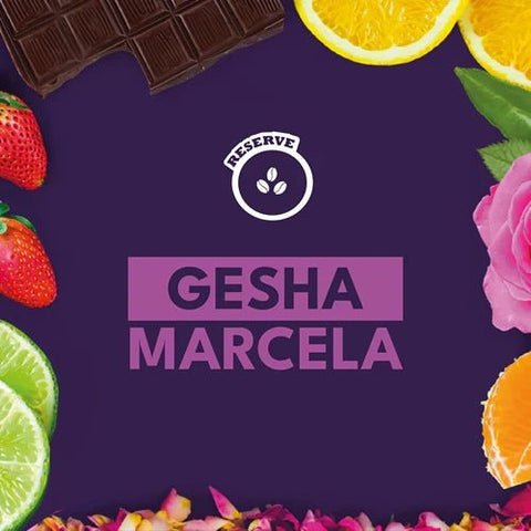 'GESHA MARCELA' Refined Carbonic Maceration process image 1
