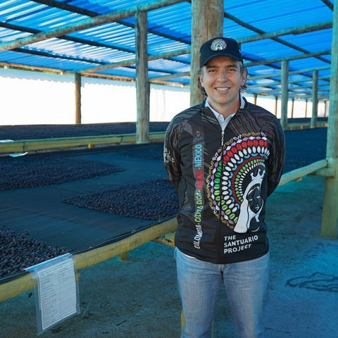 LUXX Signature Blend | Tropical flavour explosion image 4