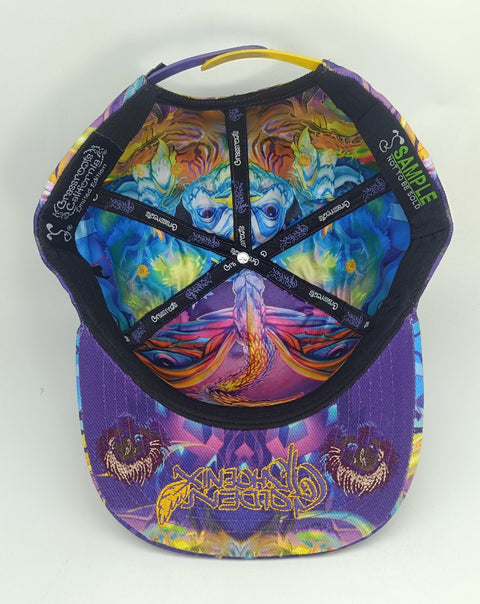 Golden Phoenix X Bryan Itch X Grassroots California skateboards, featuring colorful deck designs and grip tape detail.