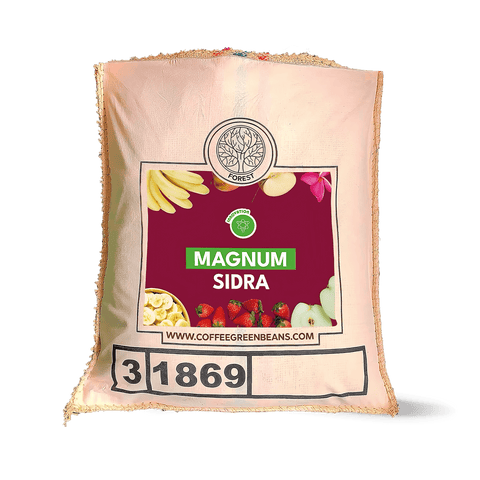 Fresh green coffee beans from Magnum Sidra by My Store, showcasing vibrant, unroasted coffee beans in a bright green color.