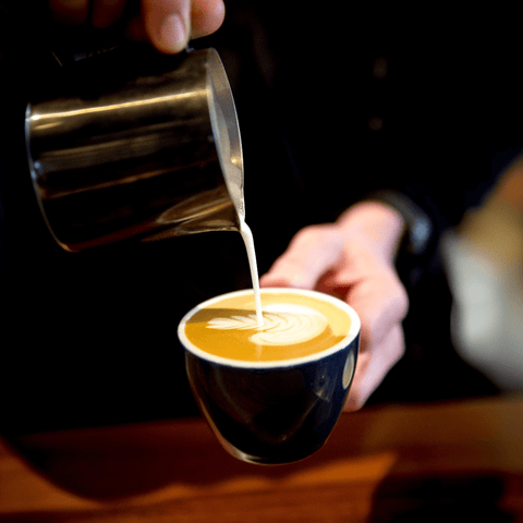 HURSTY Blend Subscription - Black Vice Coffee Roasters