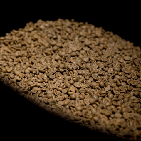 'GESHA OASIS' Elegant flavours through anaerobic fermentation image 7