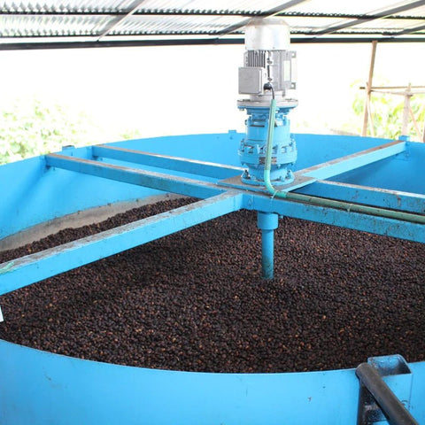 'GUAVA BANANA' Distinctive flagship coffee image 5