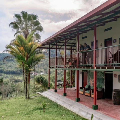 PINK PUNCH Colombia Natural 250g - Black Vice Coffee Roasters